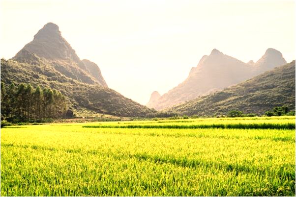 夢見一直守護著朋友什麼預兆_周公解夢官網