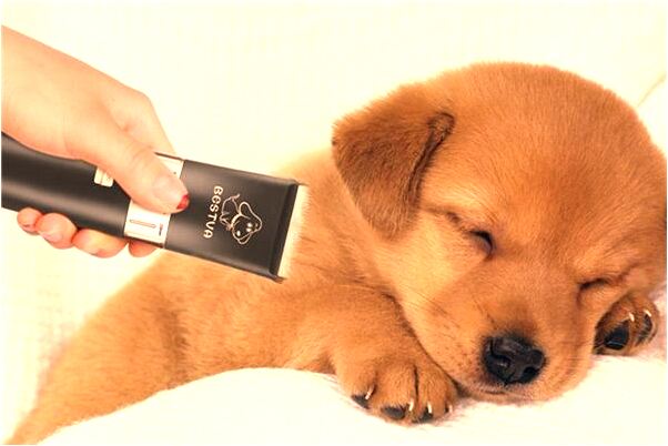 夢到做一大桌菜是好是壞_周公解夢官網