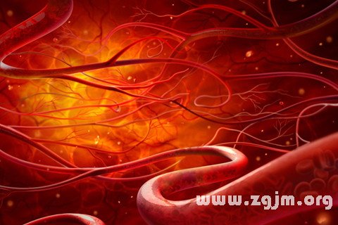 Dream of blood vessels
