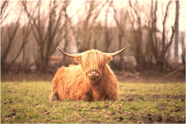 夢到了小男孩咬自己手指是什麼意思_周公解夢官網