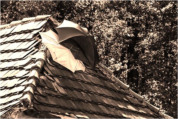 夢到了自己懷孕了下面流血了有什麼含義_周公解夢官網