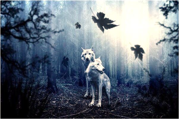 夢到了幫人偷東西被發現是咋回事_周公解夢官網