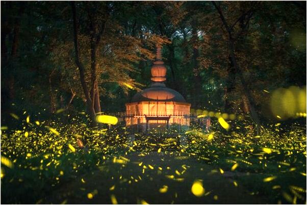 夢見開車拐彎有什麼含義_周公解夢官網