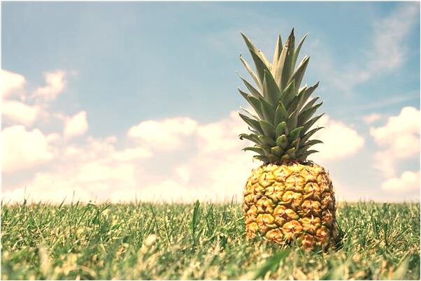 夢到了廣西人才網是什麼預兆_周公解夢官網