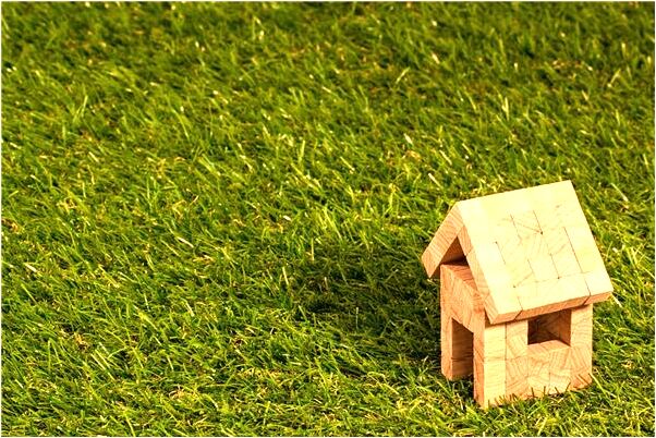 夢到長滿果子的樹是什麼徵兆_周公解夢官網