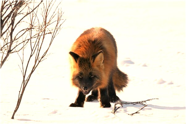 夢到了別人自己生女兒會怎么樣_周公解夢官網