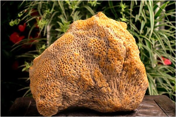 夢到了天上下是什麼徵兆_周公解夢官網