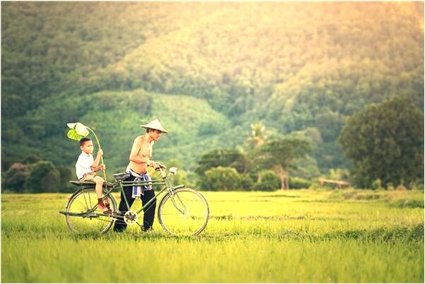 夢見自己買假髮有什麼寓意嗎？_周公解夢官網