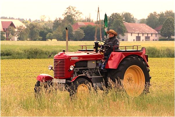 夢見死去的娘在生的情景是什麼徵兆_周公解夢官網