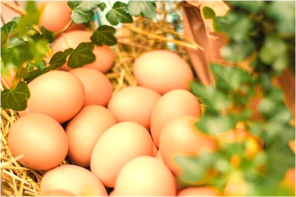 夢見打仗逃脫是啥意思_周公解夢官網