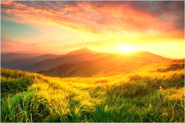 夢到了掉進池塘里是啥預兆_周公解夢官網