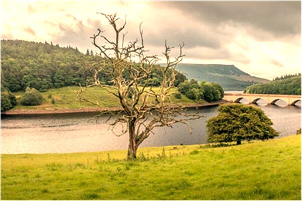 夢到了考英語掛課預示什麼_周公解夢官網