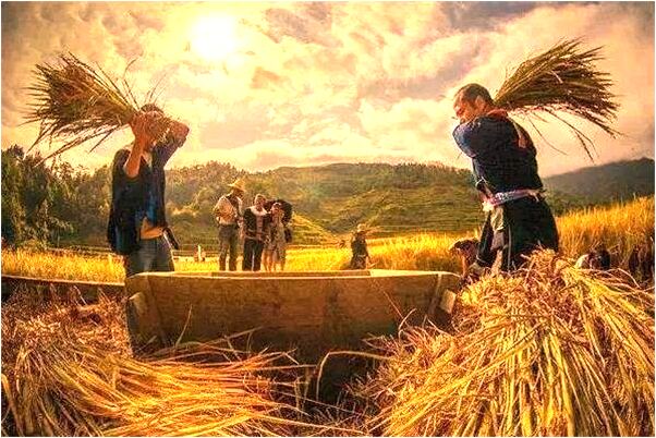 夢見頭部中箭啥意思_周公解夢官網