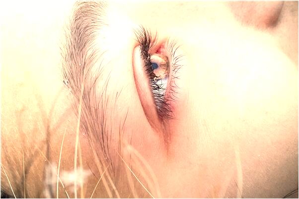 夢到了自己在前父家是什麼預兆_周公解夢官網