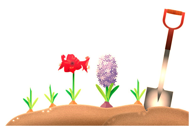 夢到擺供品是怎么回事_周公解夢官網