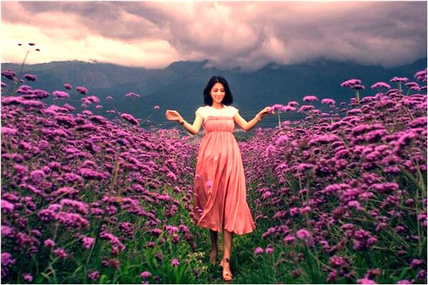 夢到了鷹把魚叼來給我有什麼寓意嗎？_周公解夢官網