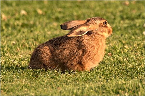 夢到了地上冐水的預兆_周公解夢官網