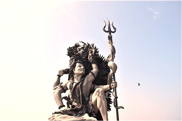 夢見家人養一群雞好不好_周公解夢官網