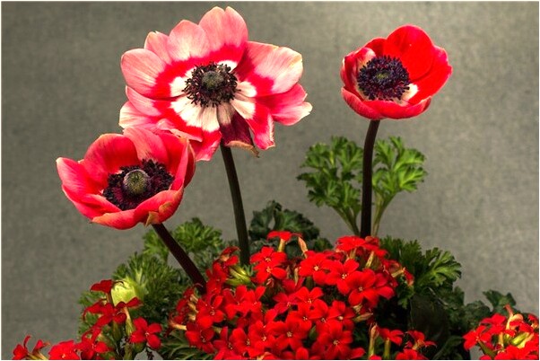 夢到男朋友提分手我很傷心預示什麼_周公解夢官網