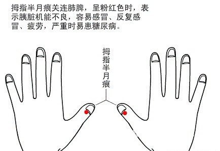 Half moon marks view health diagram 1