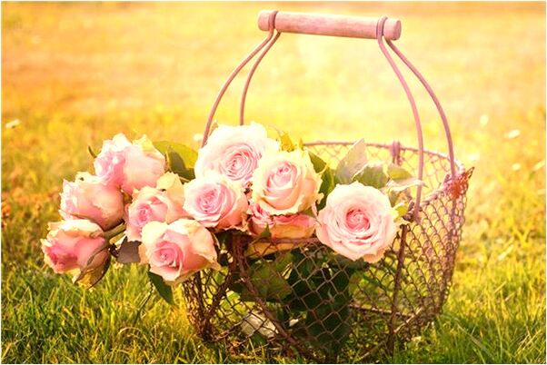 夢見廁所猜到兩腳泥是什麼徵兆_周公解夢官網