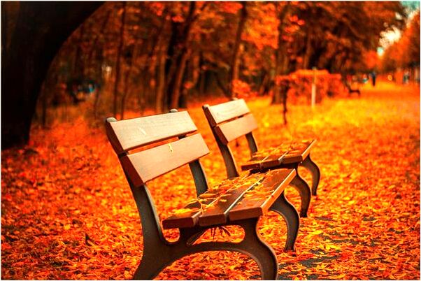 夢見一頭豬被蒸熟會有什麼預兆_周公解夢官網