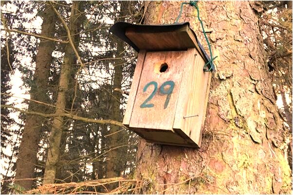 夢到女兒動了骨灰預示著什麼_周公解夢官網