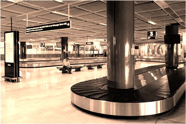 夢到打死兩隻烏鴉有什麼意思嗎_周公解夢官網