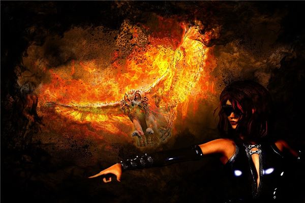 夢到了鳳皇預示什麼_周公解夢