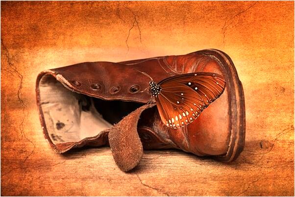 夢到很多大咬我是什麼預兆_周公解夢官網