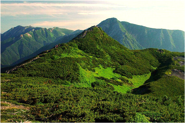 夢到了蛇盤在房中怎么回事_周公解夢官網