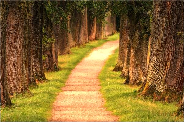 夢到跟老公一起坐火車是凶兆還是吉兆_周公解夢官網