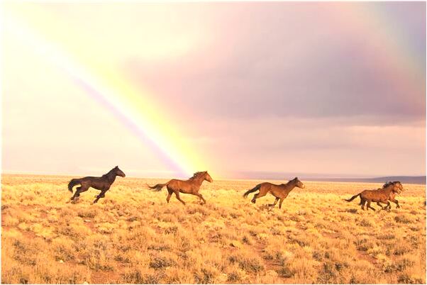 夢見我和我爸幫別人做法事意味著什麼_周公解夢官網