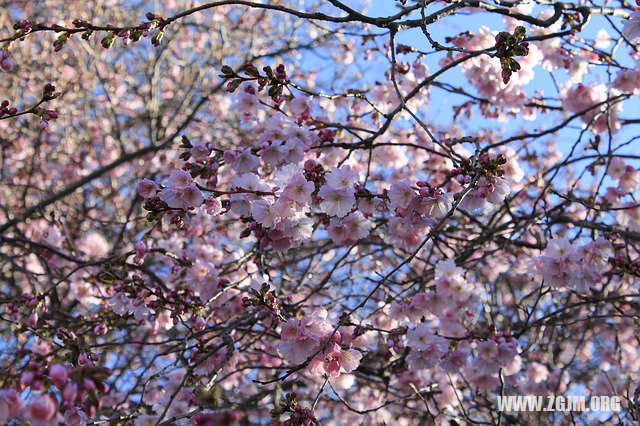 夢見搞對象_周公解夢夢到搞對象是什麼意思_做夢夢見搞對象好不好_周公解夢官網