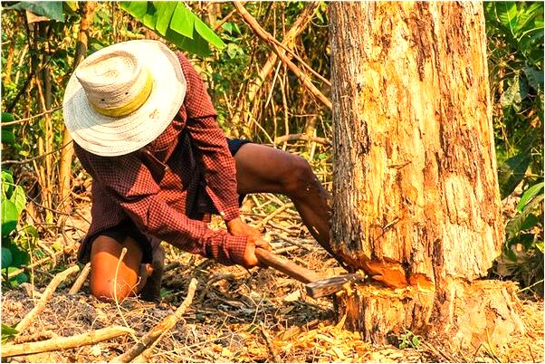 夢到了前男友有了新女朋友是吉兆嗎?_周公解夢官網