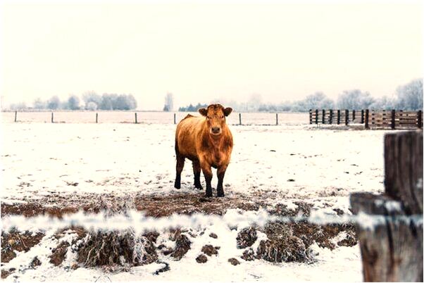 夢到了在大型建築里做衛生意味著什麼_周公解夢官網