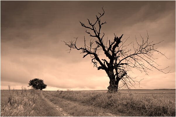 夢見在樓梯間摔倒怎么回事_周公解夢官網