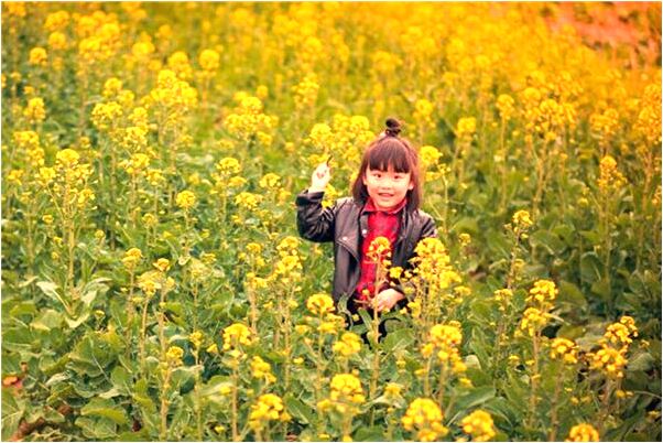 夢到胳膊口子怎么樣_周公解夢官網