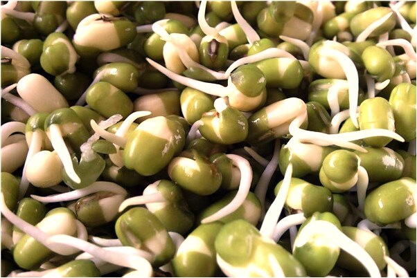 夢到對象不理我是不是好的徵兆呢_周公解夢官網