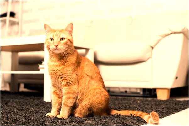 夢到了小孩鼻涕擦我衣服上預示什麼_周公解夢官網