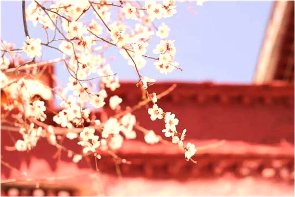 夢見別人吐魚什麼預兆_周公解夢官網