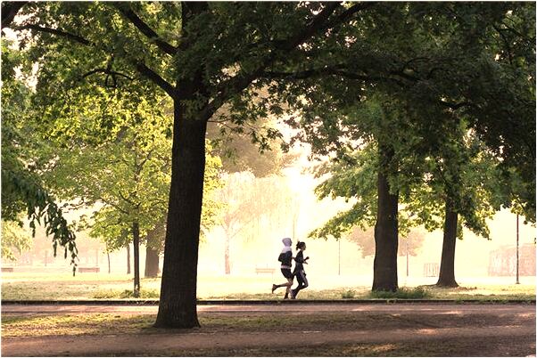 夢到了祿葉藤上開紅花是不是好的徵兆呢_周公解夢官網