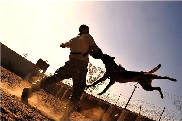 夢到連續的下雨天是什麼意思？_周公解夢官網