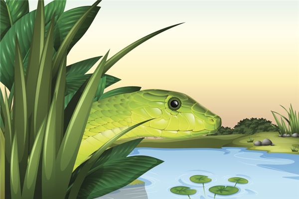 夢見被大蛇追_周公解夢