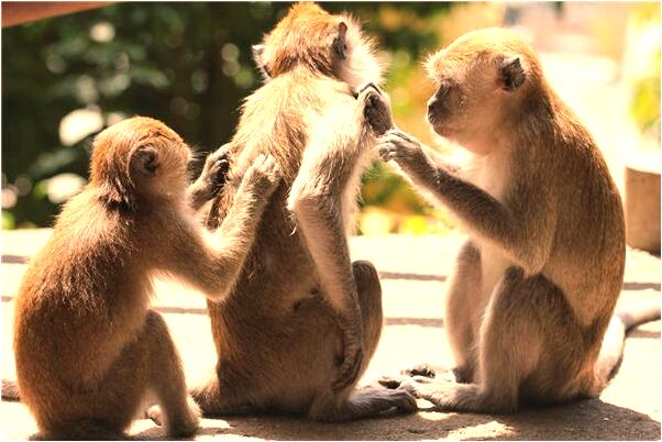 夢見父親擴大生意預示什麼_周公解夢官網