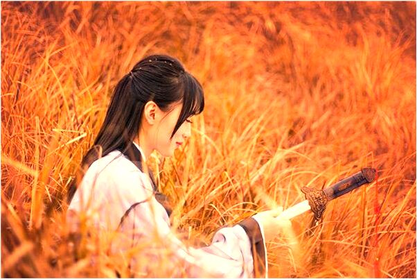 夢見自己買白馬是什麼兆頭_周公解夢官網