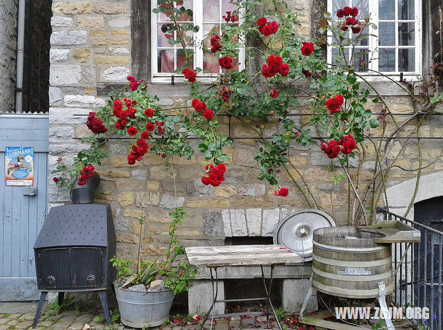 夢見母親復活_周公解夢夢到母親復活是什麼意思_做夢夢見母親復活好不好_周公解夢官網