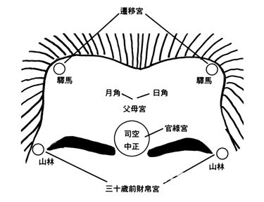 额顶部示意图图片