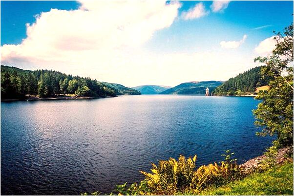 夢到家裡變的很大很漂亮怎么說_周公解夢官網