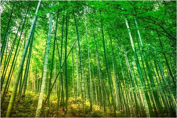 夢見幫助瞎眼老婆婆找家好不好_周公解夢官網